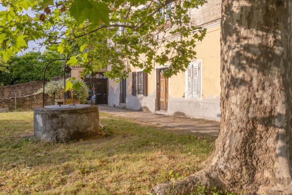 Apartament Vistasanlu Triest Zewnętrze zdjęcie